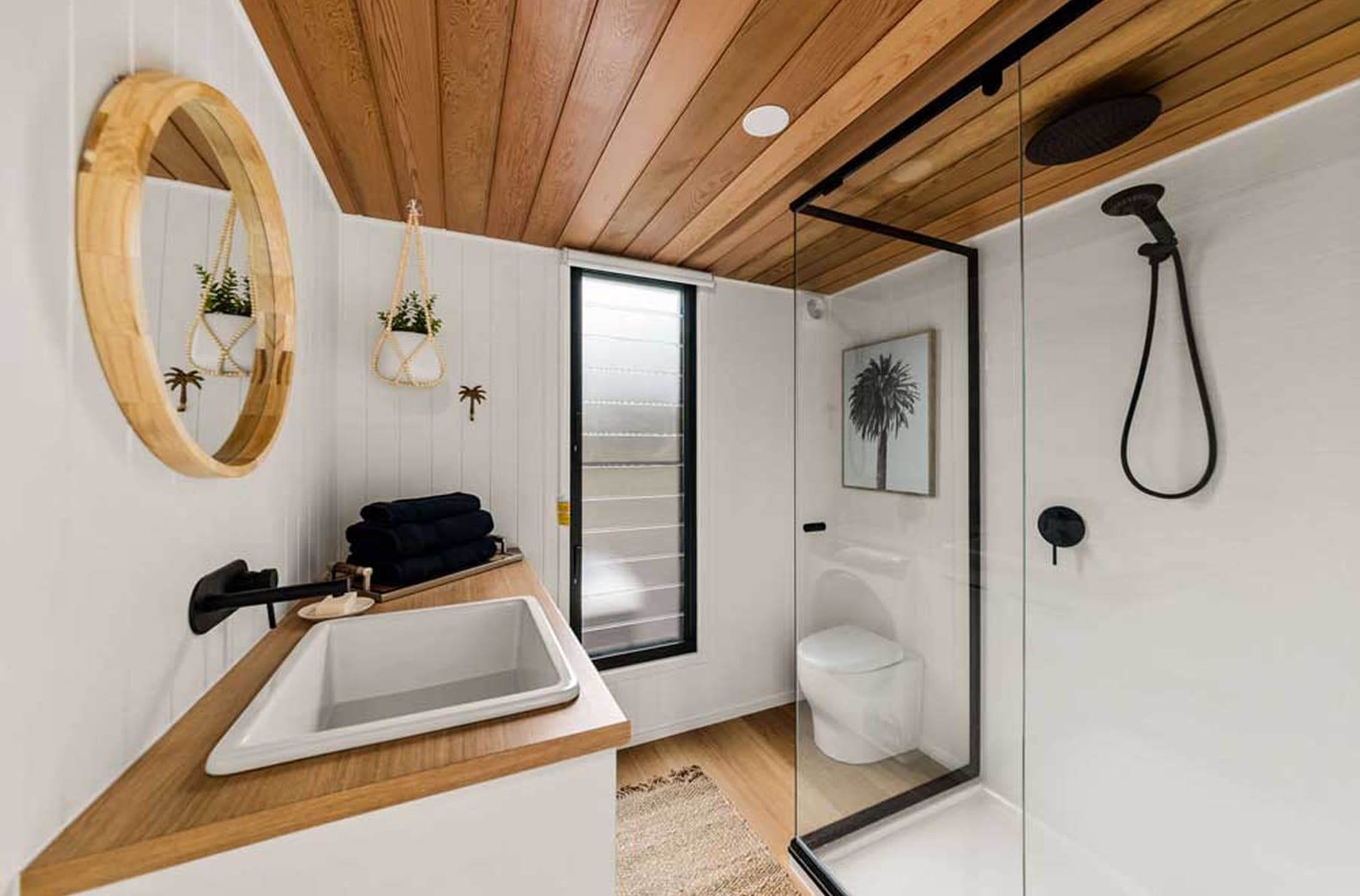 LJM alectura 11 600p