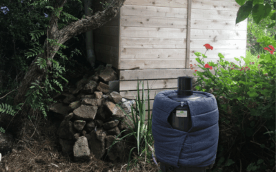 Surviving Cold Weather: Compost Style